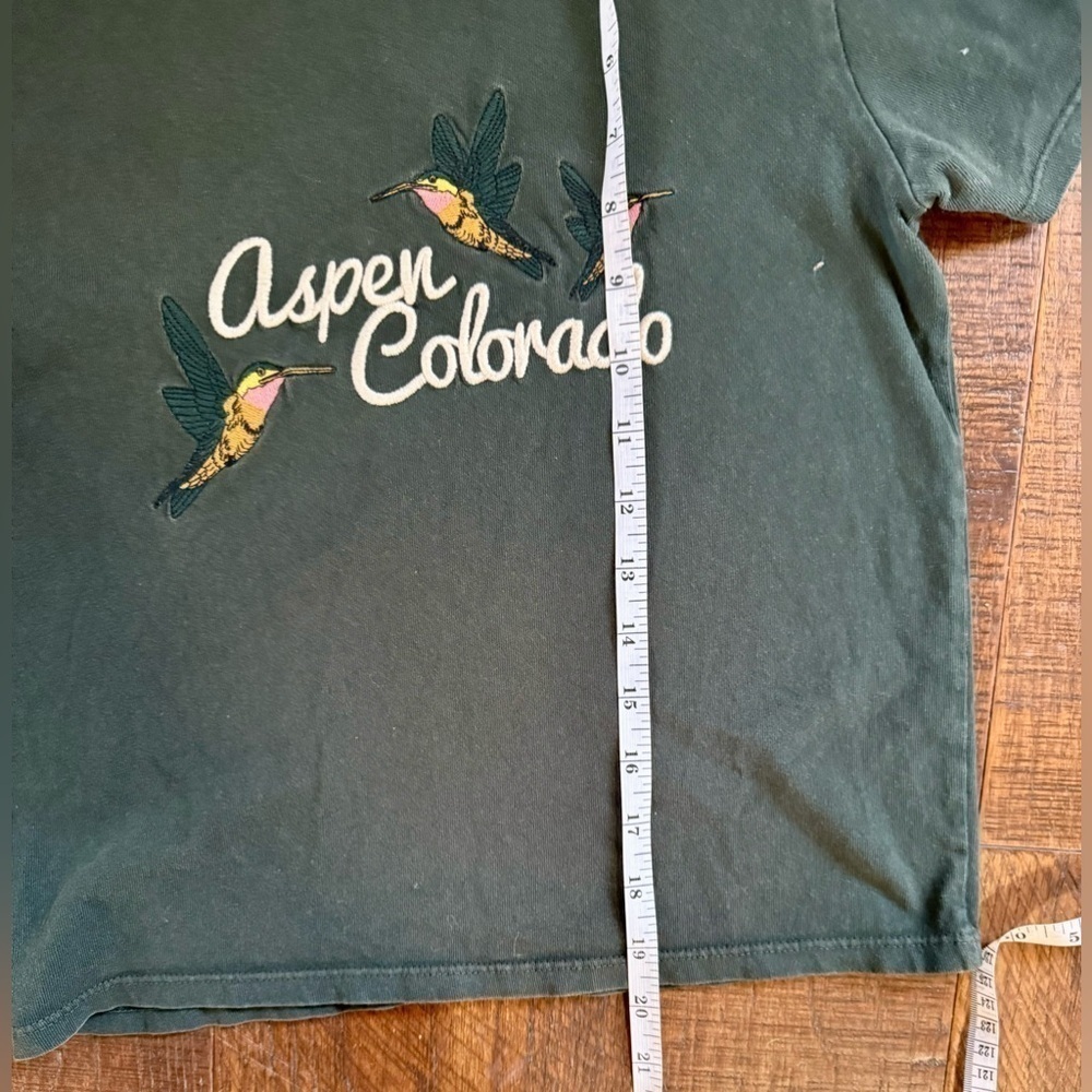 Aspen green Brandy Melville crew neck cropped t shirt - Picture 5 of 5